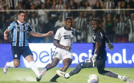 الدوري البرازيلي: بوتافوغو يتصدر الترتيب بالفوز على غريميو
