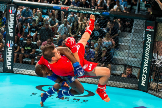 الـMMA تطرق أبواب الأولمبياد