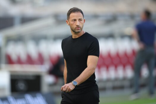 تيديسكو مهدد بالاقالة من تدريب بولونيا