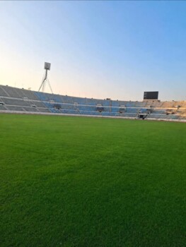 عودة المدينة