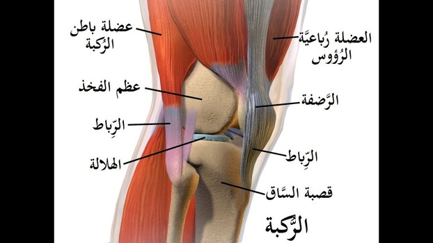 اصابة اربطة الركبة سببها وكيفية العلاج