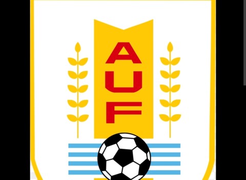 الاتحاد الاوروغواني الغى طائرة المنتخب الخاصة بعد الاقصاء من المونديال