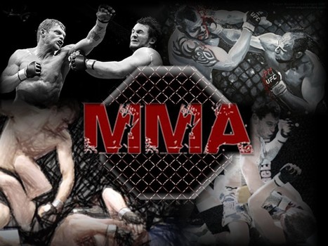 رياضة الـMMA: تألق لبناني لافت واتحاد لتنظيم شؤونها والدعم يبقى مطلوبا