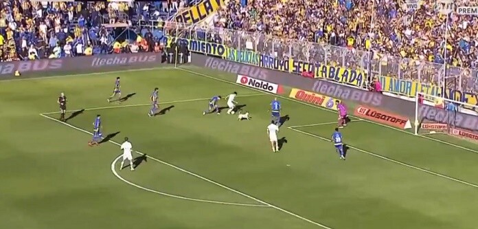 كلب يقتحم الملعب ويقطع هجمة في الدوري الأرجنتيني