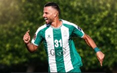 الجوائز الفردية