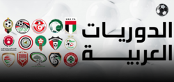 مواعيد انطلاق الدوريات العربية للموسم الجديد 2026-2027