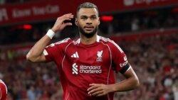 ليفربول يحدد سعر غاكبو ويغلق باب الرحيل إلا بشروطه
