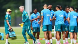 التكنولوجيا وأنشيلوتي سلاحا البرازيل لاستعادة أمجاد كأس العالم