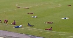 سرب من النحل يوقف مباراة في البرازيل!