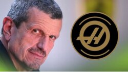 شتاينر ينتقد رؤية جين هاس