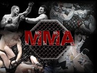 رياضة الـMMA: تألق لبناني لافت واتحاد لتنظيم شؤونها والدعم يبقى مطلوبا