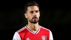 الشمال القطري يعلن رسميًا تعاقده مع بابلو ماري